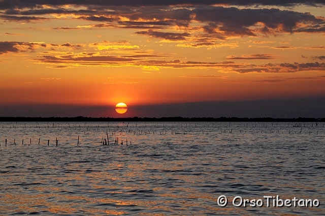 20100522-193425.jpg - Tramonto nella Sacca di Goro e Gorino 2