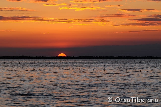 20100522-193645_01.jpg - Tramonto nella Sacca di Goro e Gorino 3