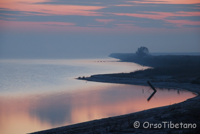 DSC_1010.jpg - Alba Invernale nelle Valli di Comacchio [a, FF, none]