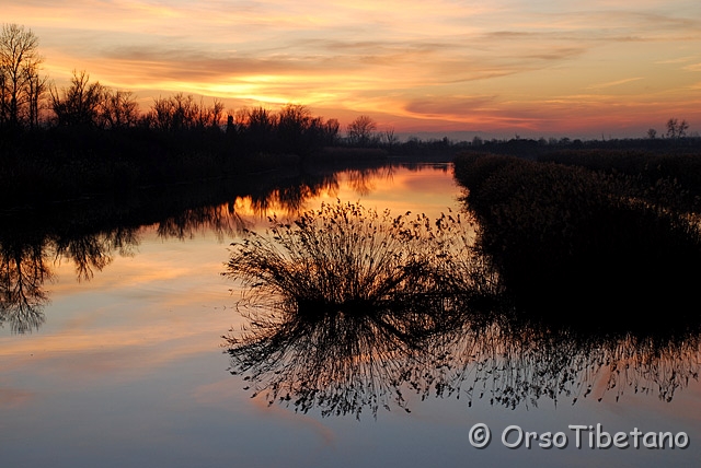 DSC_1314.jpg - Tramonti nell'oasi di Campotto 4/5, Parco delta del Po  [a, FF, none]