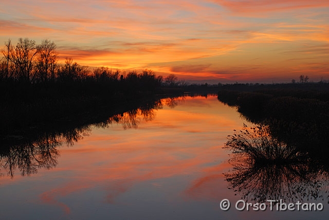 DSC_1335.jpg - Tramonti nell'oasi di Campotto 5/5, Parco delta del Po  [a, FF, none]