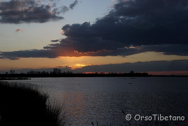 DSC_1947.jpg - Tramonti nell'oasi di Campotto 2/5, Parco delta del Po  [a, FF, none]