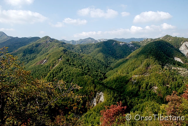 _DSC3737.jpg - P.N.F.C. Panorama [a, FF, none]