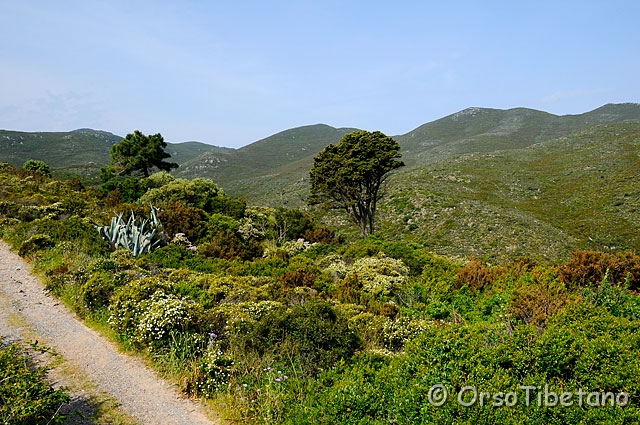 20090514-094702-f.jpg - Panorama collinare [a, FF, none]