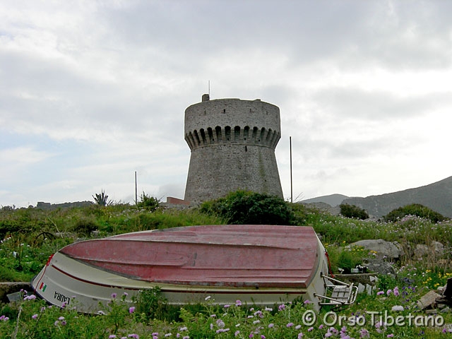 DSCN4238-1.jpg - Torre del Porto [a, +75%, none]