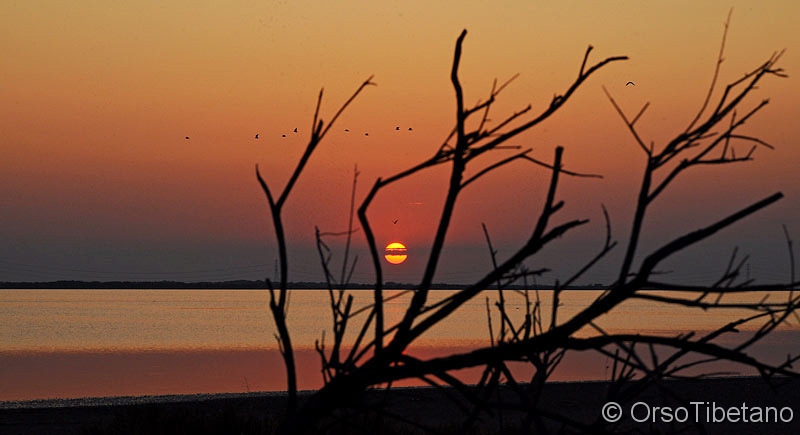 Boscoforte,_Tramonto.jpg - OTTOBRE 2009. Tramonto a Boscoforte. Boscoforte, la "perla" del Parco del Delta del Po. Un lembo di terra nel cuore delle Valli di Comacchio, una lingua di terra dove tutto è magico, dove il tempo si ferma e si entra in un'altra dimensione... -  OCTOBER 2009. Sunset at Boscoforte. Boscoforte, the "pearl" of the Po Delta Park. A strip of land in the heart of the Valleys of Comacchio, a spit of land where everything is magical, where time stops and you enter in another dimension...