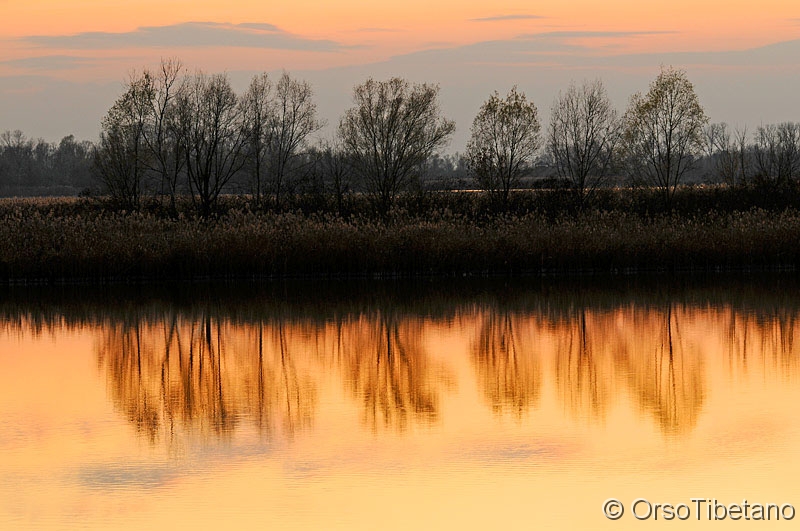 Oasi_di_Campotto,_Tramonto.jpg - FEBBRAIO 2010. Tramonto nell'Oasi. Oasi di Campotto e Vallesanta, una delle stazioni del parco del Delta del Po... una delle zone umide più grandi del Nord Italia... All' interno dell' Oasi le casse di espansione dei fiumi Sillaro, Idice e Reno..  atmosfere uniche e magici tramonti, sono di casa in questo territorio dalle caratteristiche uniche... - FEBRUARY 2010. Sunset at the Oasis. Oasis of Campotto and Vallesanta, one of the stations of the Po Delta Park .. one of the largest wetlands of northern Italy ... Inside of Oasis, the boxes of expansion of the rivers Sillaro, Idice and Reno.. unique atmosphere and magical sunsets, are at home in this area with unique characteristics...