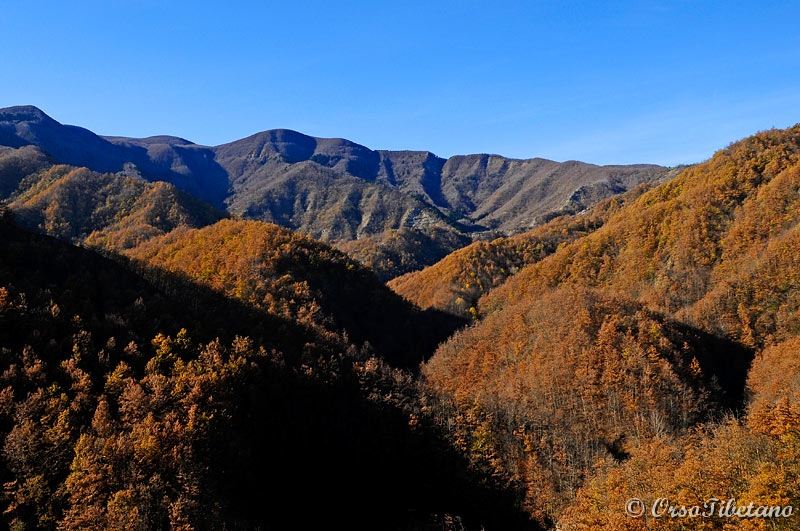 20111127-111258.jpg - Appennino Tosco-Romagnolo, Parco Nazionale delle Foreste Casentinesi.  -  Apennines Tosco-Romagnolo, Casentino National Park.