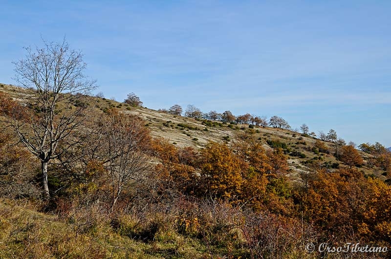 20111127-115046.jpg - Sassicaia di Monte Cavallo. -  Land of stone of Monte Cavallo.