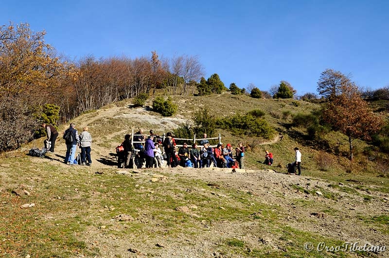 20111127-120342.jpg - Un po' di meritato riposo.  -  A little well-deserved rest.