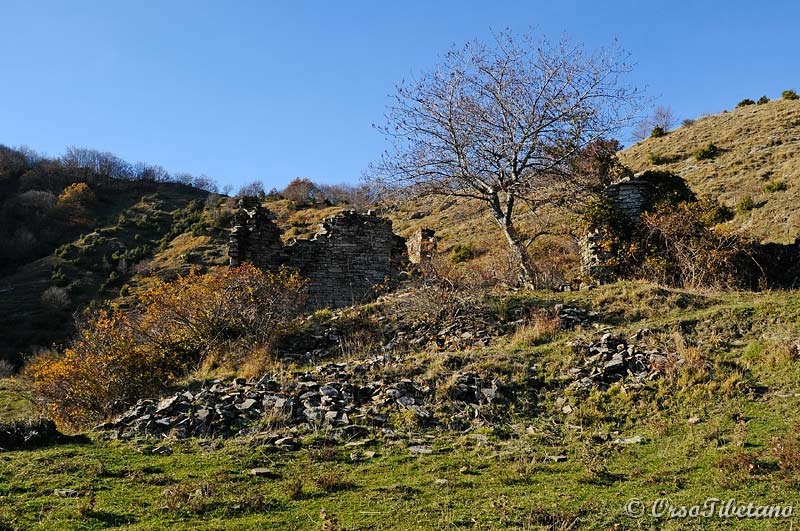 20111127-135116.jpg - I ruderi di Casa Lavacchio di Sopra.  -  The ruins of Casa Lavacchio di Sopra.