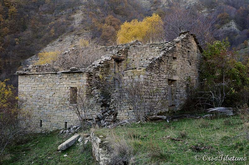 20111127-141905.jpg - Casa Lavacchio di Sotto.