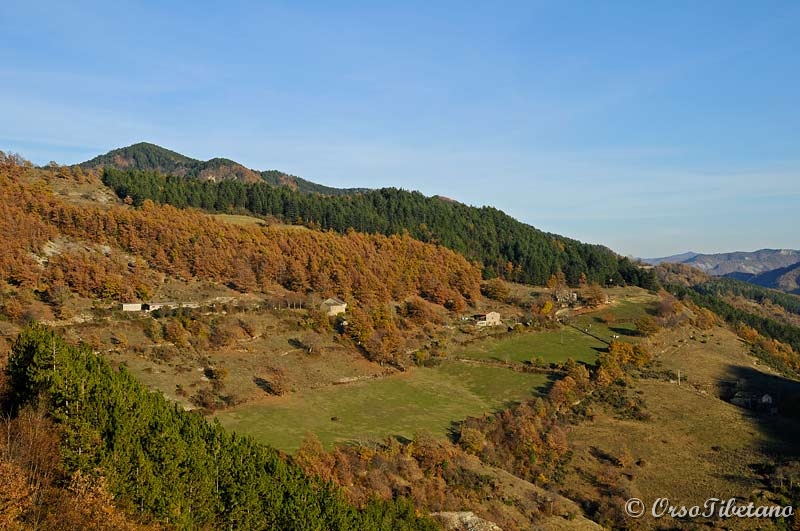 20111127-150458.jpg - Panorama più o meno sopra Corniolo.  -  Overview more or less above Corniolo.