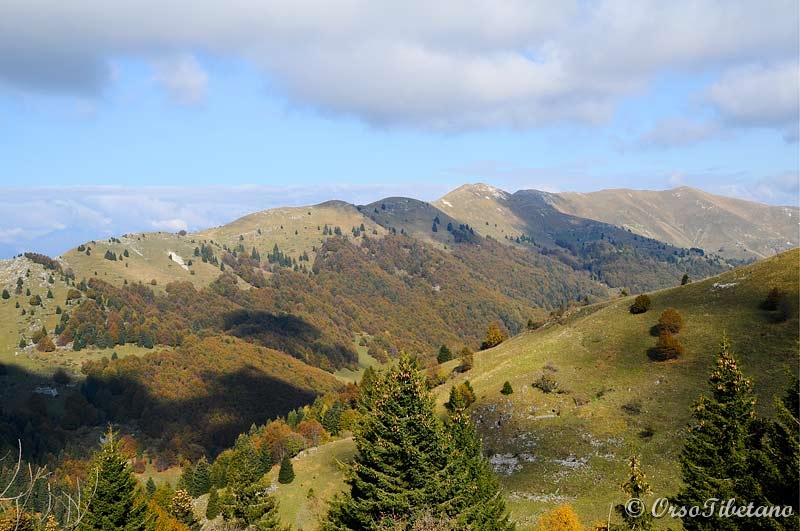 20111023-112345.jpg - Panorama.  -  Overview.