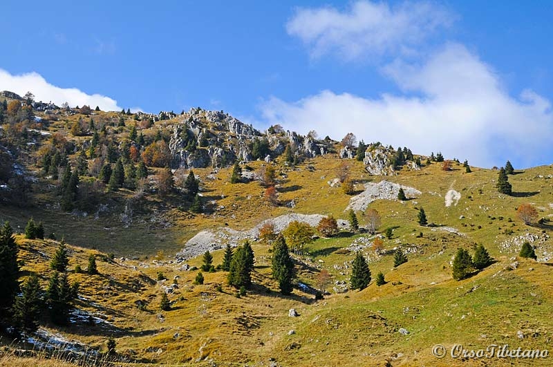 20111023-115614.jpg - Paesaggio variegato.  -  Varied Landscape.