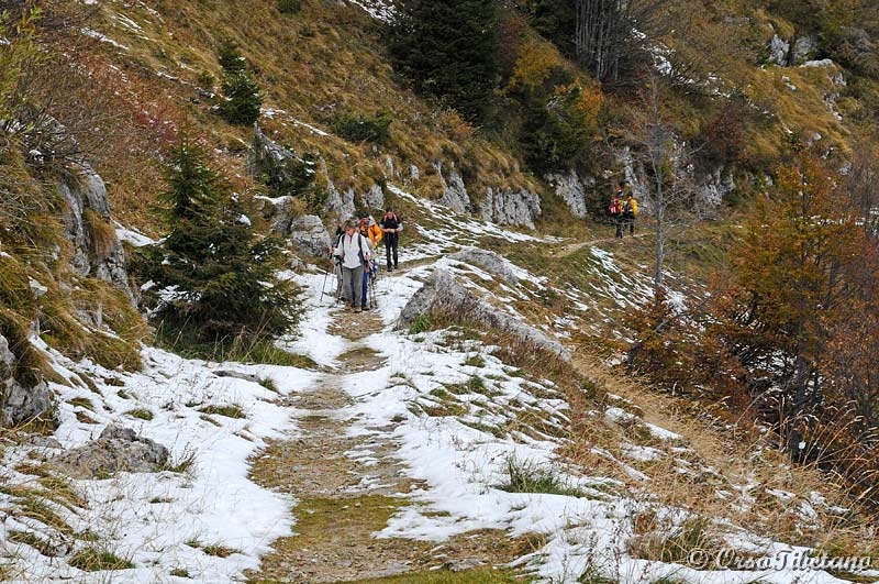 20111023-122928_01.jpg - Camminando quasi sulla neve, ma la cima è vicina.  -  Almost walking on snow, but the top is near.